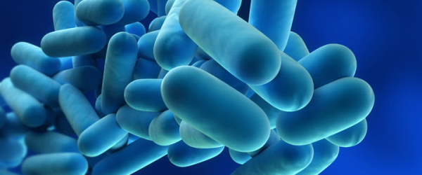 bioaugmentation[1]
